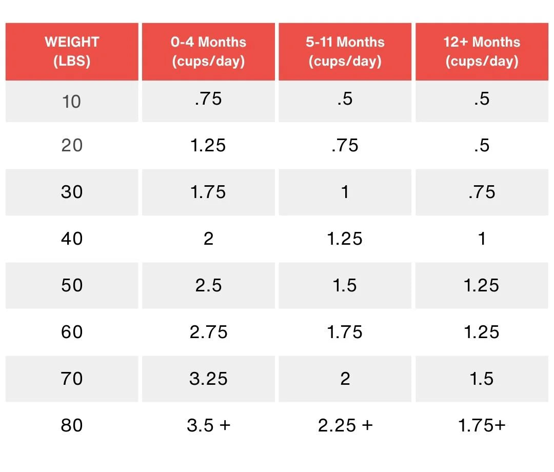 chart for how much freeze dry dog food to feed